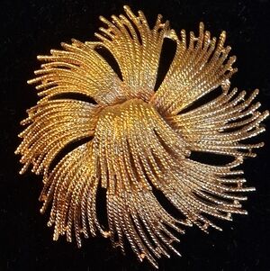 Vintage Monet Goldtone Cordelia Brooch